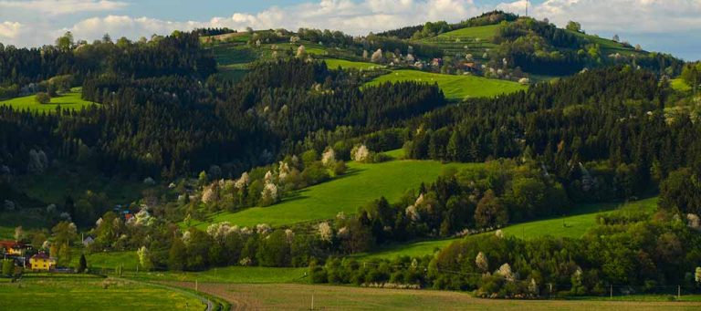 Read more about the article Nieruchomość – definicja, rodzaje, geneza